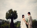 Wedding Photographer